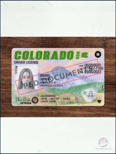 PsdDocuments Colorado Driving License Template New V2 1