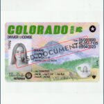 Colorado Driving License