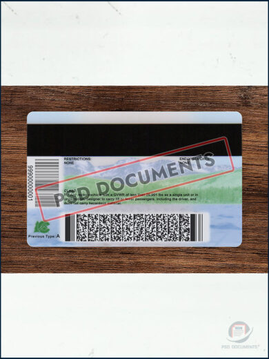 PsdDocuments Colorado Driving License Template New V2 4