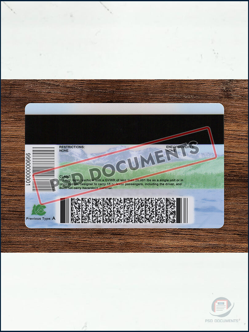 PsdDocuments Colorado Driving License Template New V2 4