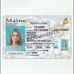 Maine Driver License