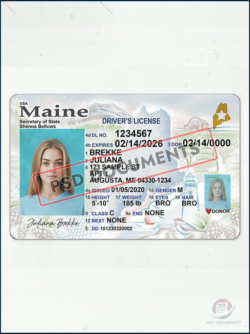 Maine Driver License