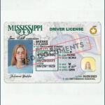 Mississippi Driver License